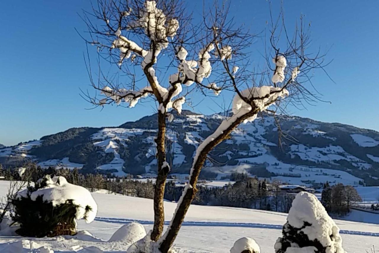Pension Leamhof Hopfgarten im Brixental Kültér fotó