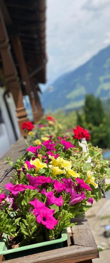 Pension Leamhof Hopfgarten im Brixental Kültér fotó